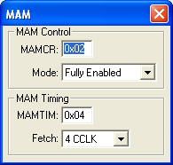 Memory Accelerator Module