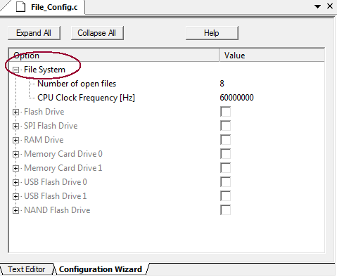 File System Options