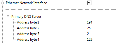 Primary DNS Server