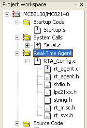 Project Workspace with Real-Time Agent Group